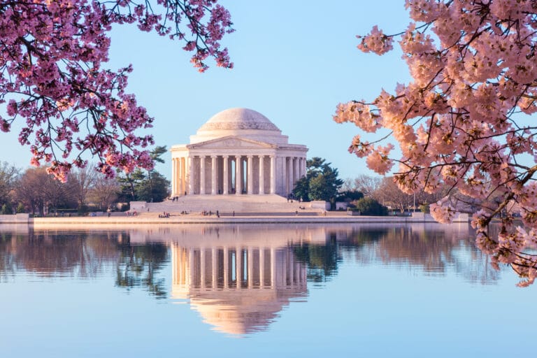 Beautiful early morning Jefferson Memorial with cherry blossoms