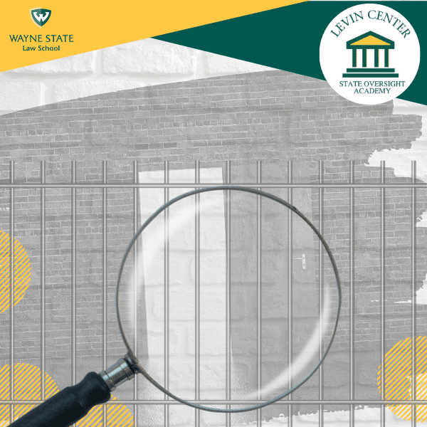 Graphic of magnifying glass over jail cell bars